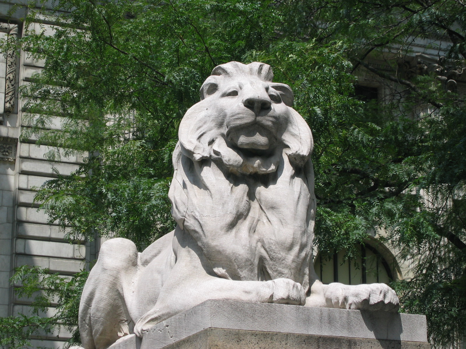 Lion NY Public Library