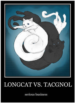 LONGCAT VS. TACGNOL