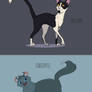Warriors Tallstar and Cinderpelt Character Design
