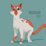 Warriors Character Design Brightheart