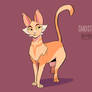 Warriors Character Design - Sandstorm