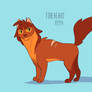 Warriors Character Design - Firestar