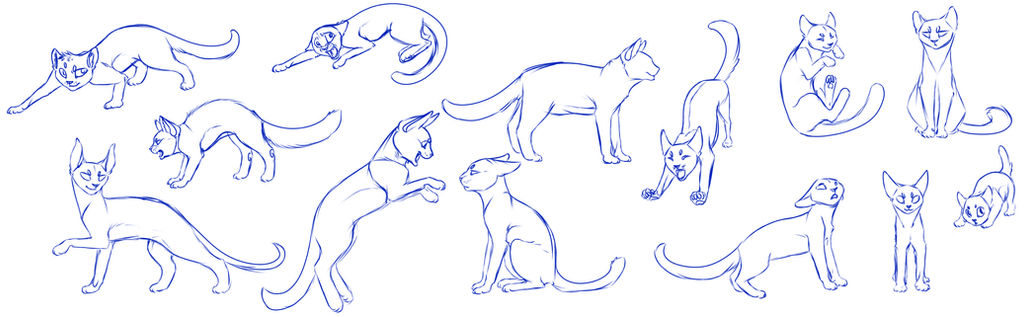 Pcat Poses Reference Cat pose practice by Sinful-Souls on DeviantArt