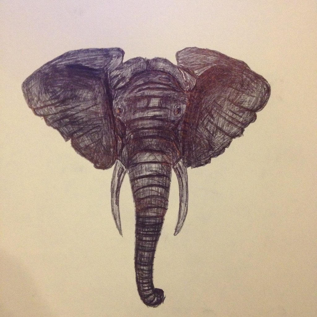 Elephant by ArtisticAnnabelle on DeviantArt