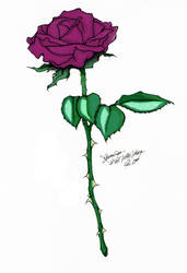 Purple Rose