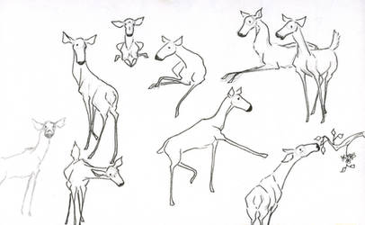 Deer Doodles