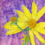 watercolor yellow flower