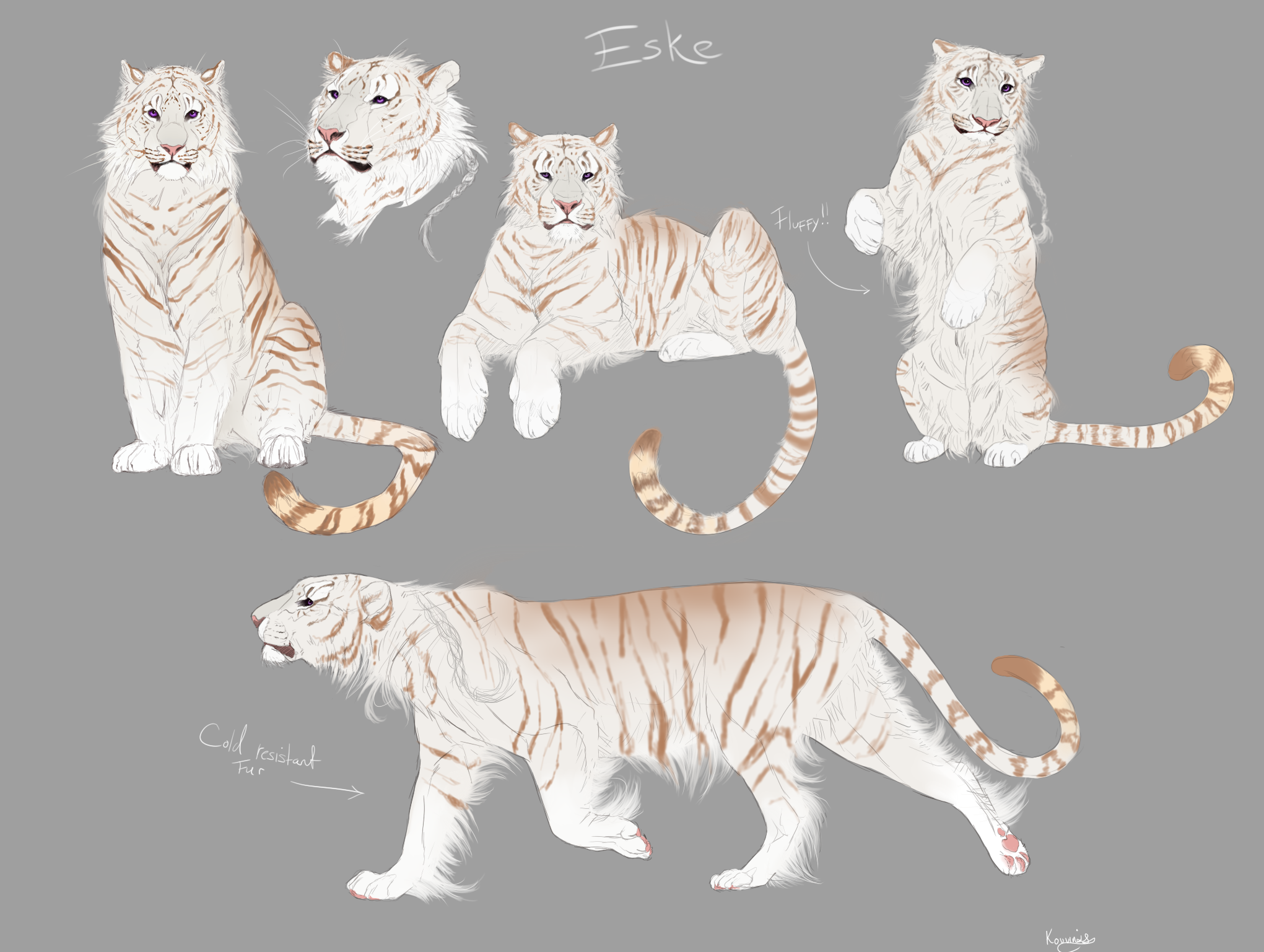 Tiger Find Custom Tiger custom by Kouvinxx on DeviantArt