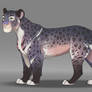 Piebald purple lioness SOLD