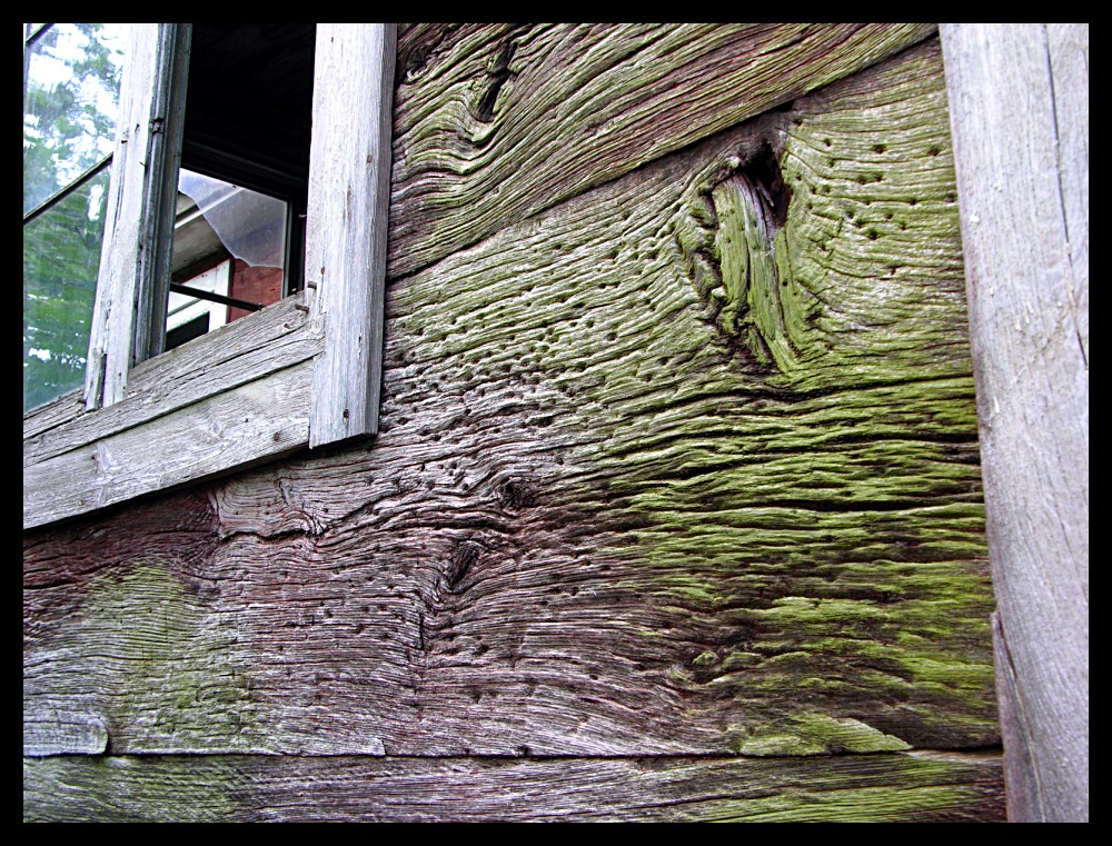 Abandoned house facade