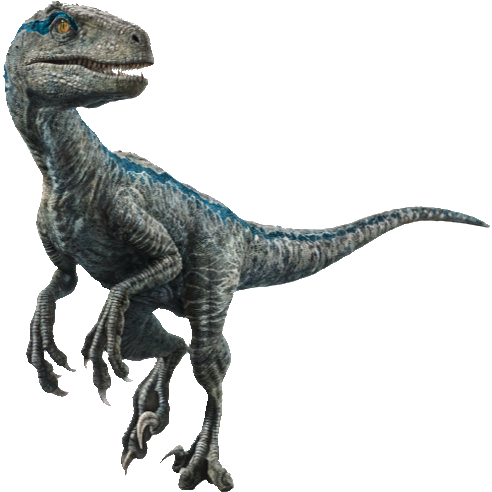 Velociraptor 'Blue' by AdultSimba20Official on DeviantArt