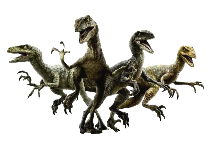 Jurassic Park ~ Velociraptor Pack by AdultSimba20Official on DeviantArt