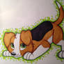 promarker beagle