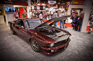 Ring Brothers Mustang