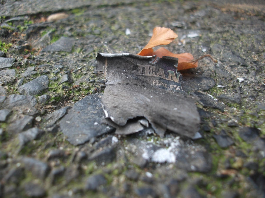 Fallen Love. by celebratecelebrity on DeviantArt