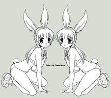 twin bunny