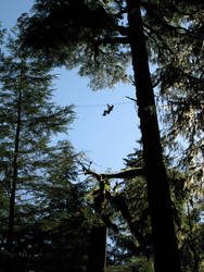 Zipline Alaska