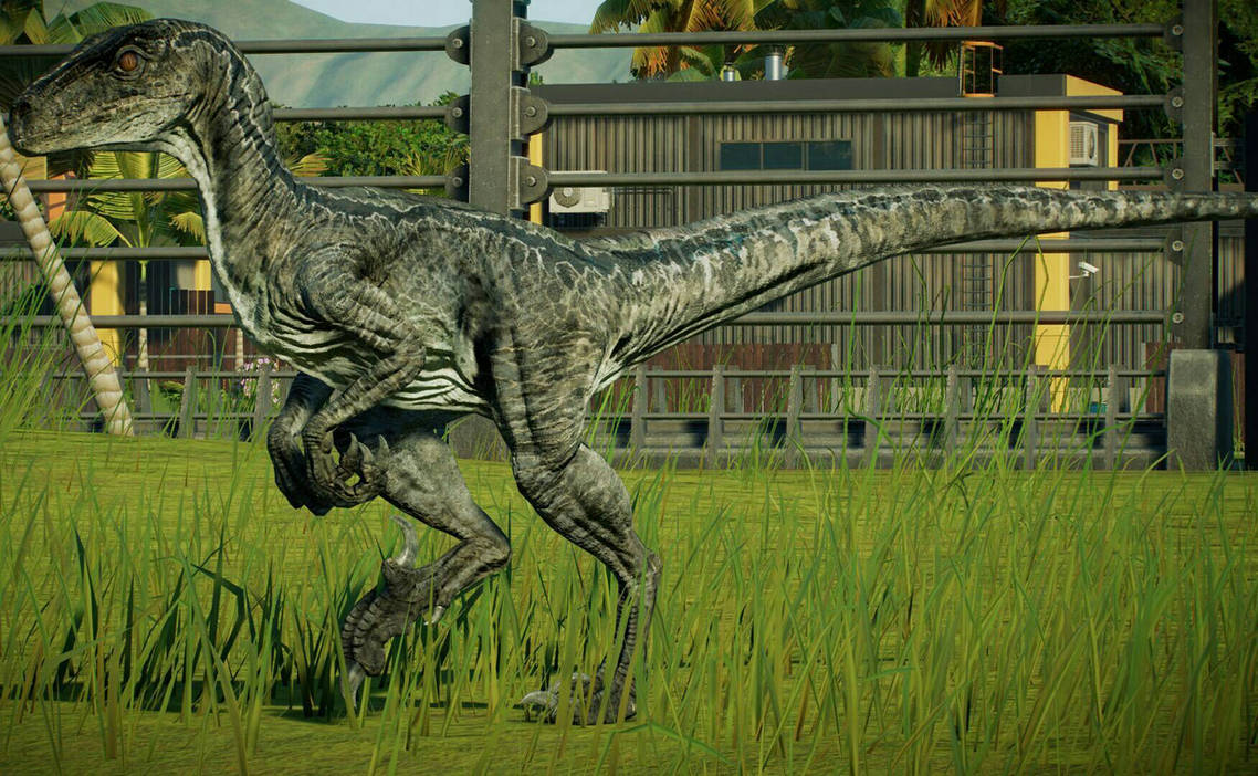 JWE Velociraptor (Blue) by phirphl on DeviantArt