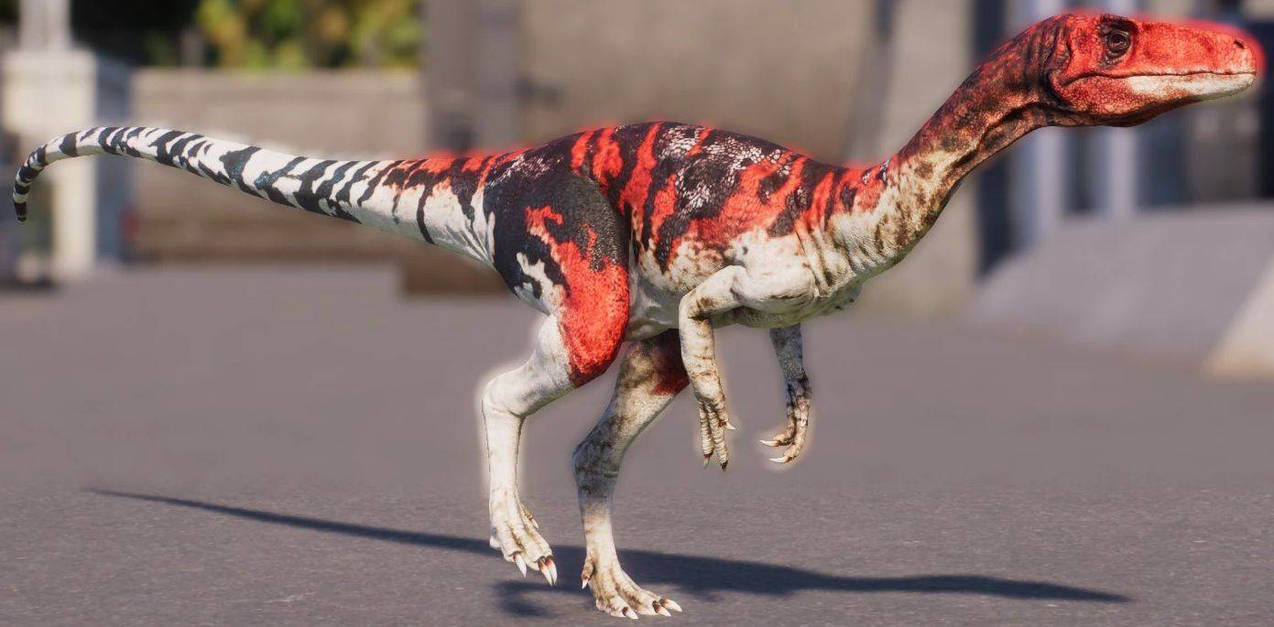 Coelurus Deviantart JWE Coelurus by phirphl on DeviantArt