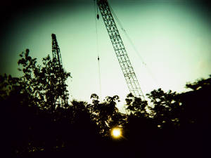 Crane #1