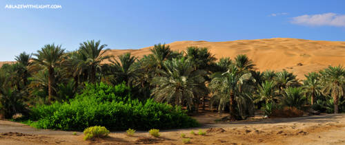 Liwa Oasis