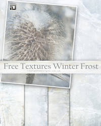 Free textures Winter Frost