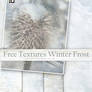Free textures Winter Frost
