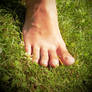 barefoot 4