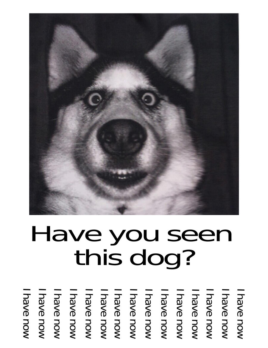 Have You Seen This Dog by DanelectroT on DeviantArt