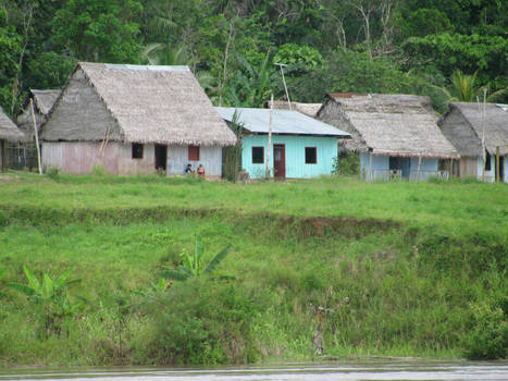 Cute lil houses