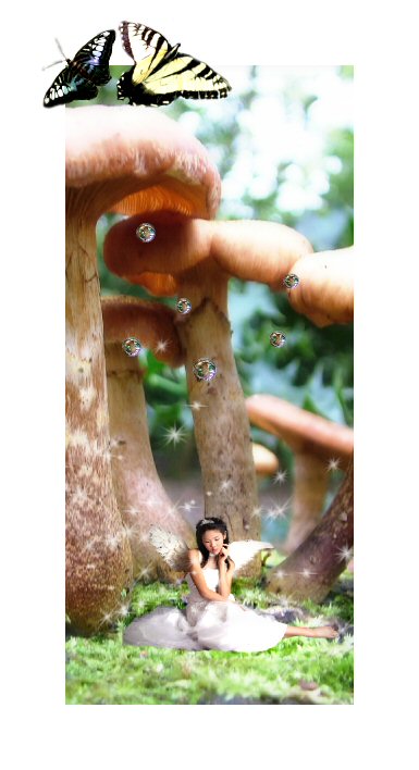 Fairies and Mushrooms