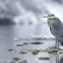 In snowfall