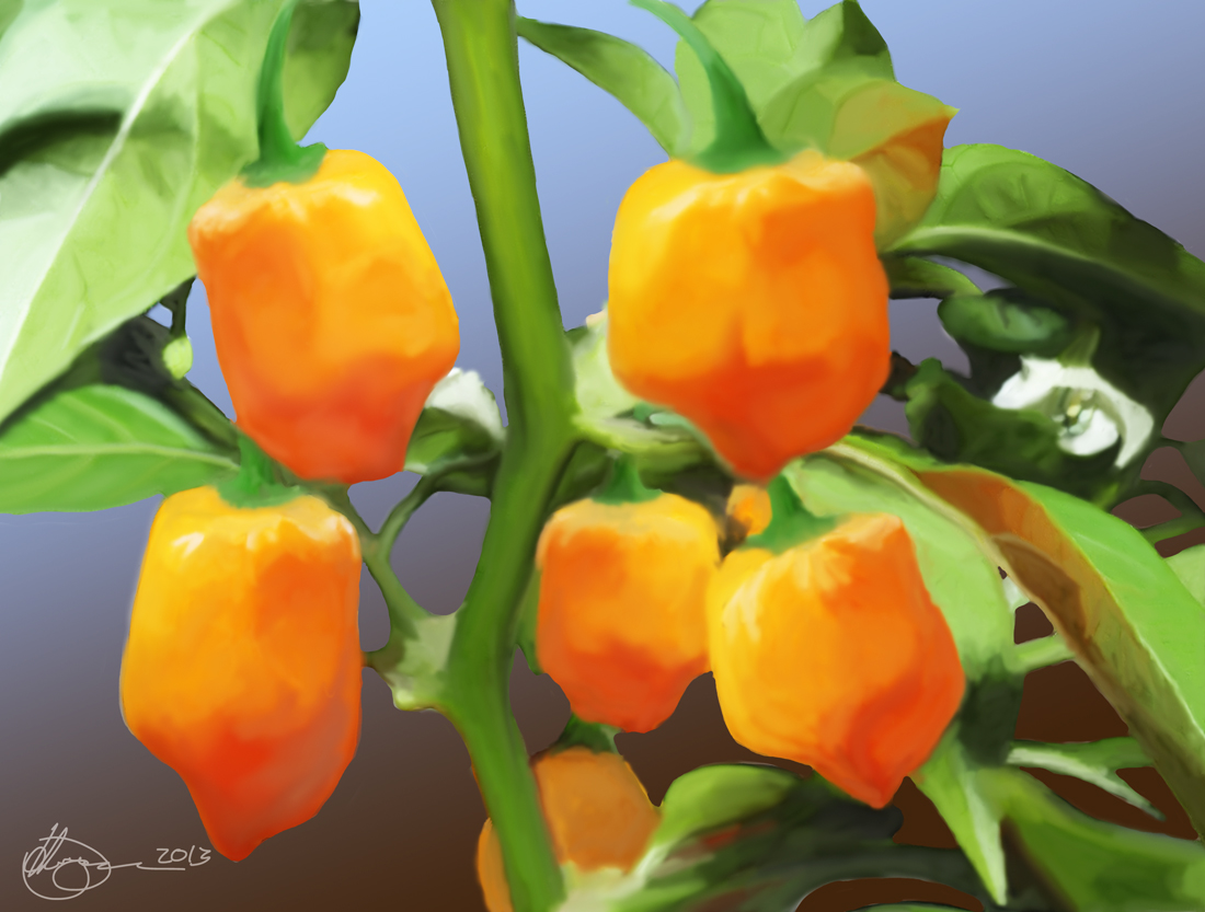 Habanero