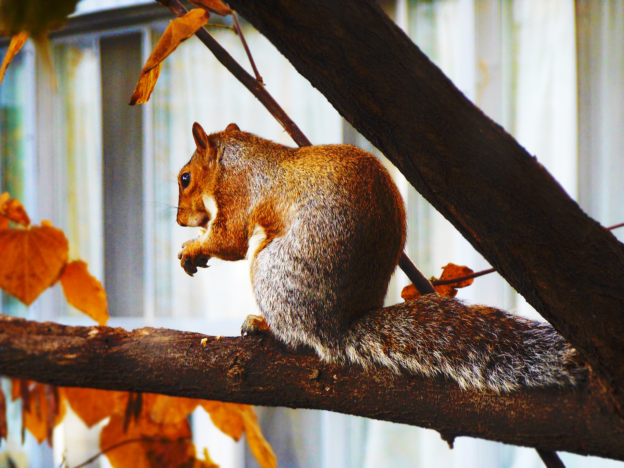 Leave me be by the tree