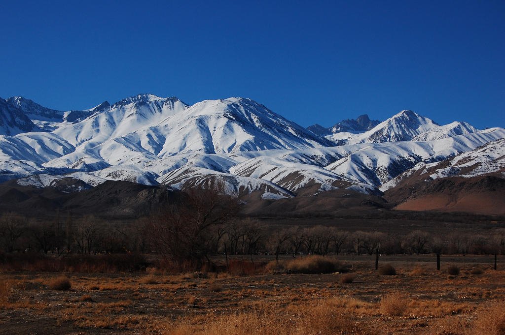 snowy mountains