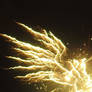 Firework 16