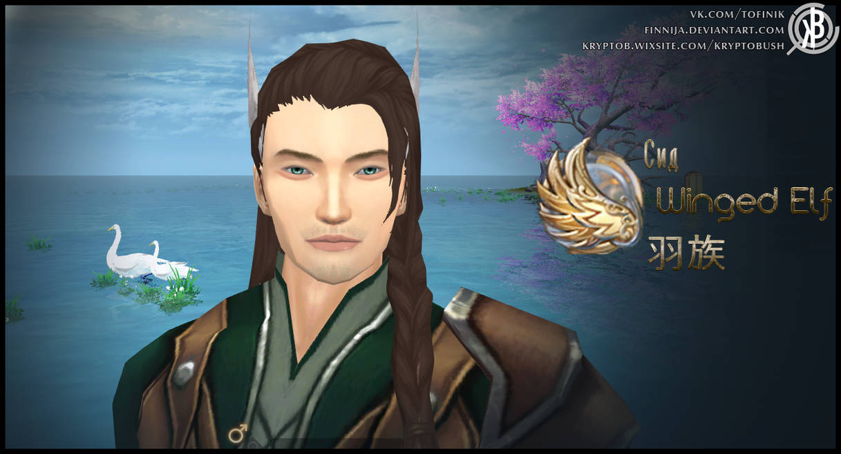 Perfect World Winged Elf Male Preset by Finnija on DeviantArt