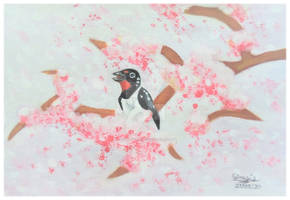 Swallow on a cherry blossom tree.