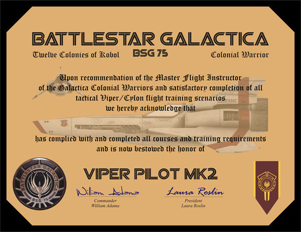 Viper Pilot Certificate