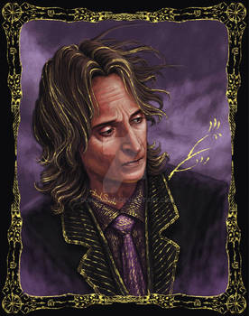 Mr Gold