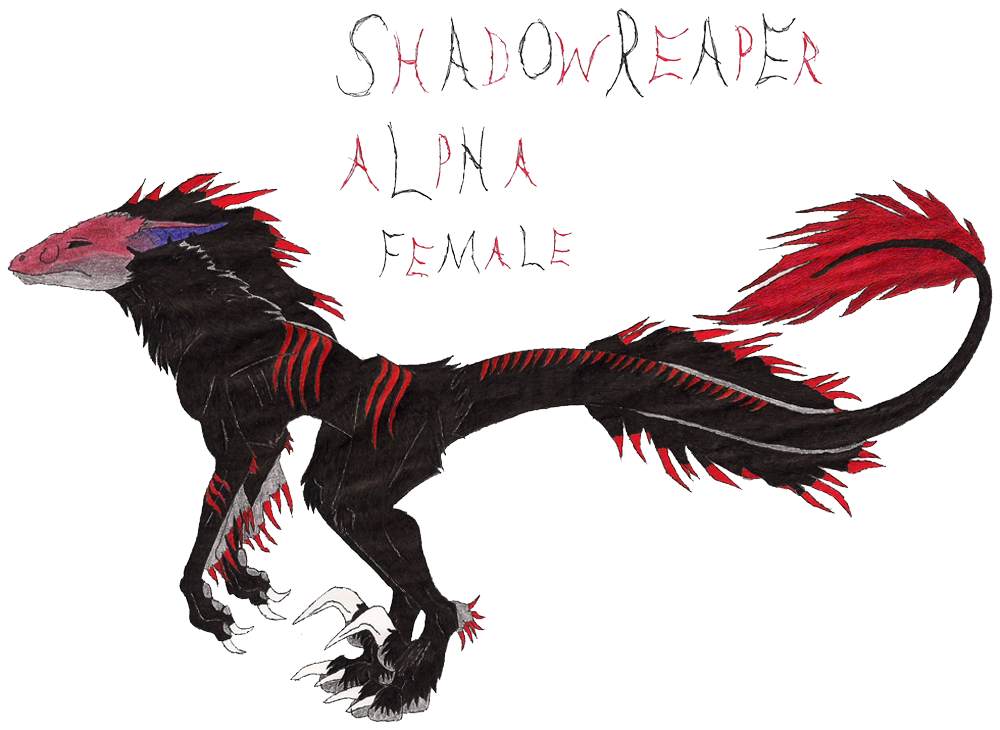 Shadowreaper ShadowReaper No Background by Dregrith on DeviantArt