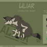 Uliar - Character Sheet