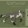 Northwind - Character Sheet