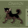 Cinamon - Character Sheet