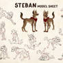 Steban - Model Sheet