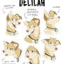Delilah Expression Sheet