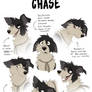 Chase - Expression Sheet