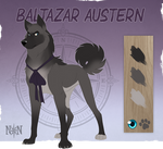 Baltazar Austern - Character Sheet