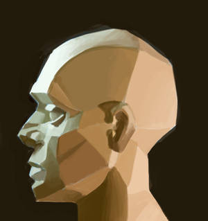 Planar Head Study