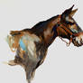 Mule Study